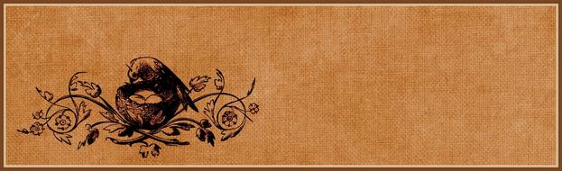 vintage bird decorative drawing