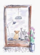 doggy sits on floor in room, view through window