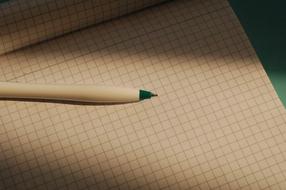 pen on a notebook in a cage