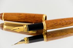 Fountain Pens gold