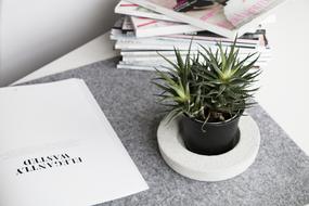 Paper Business Flower green