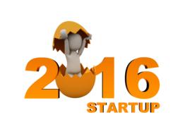 2016 start up 3d man egg