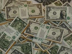 pile of dollars
