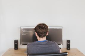 Guy Working with the computer