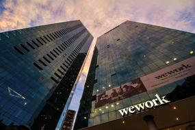 wework logo on glass facade at dusk