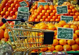 Shopping Fruit cart