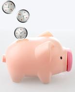 save time money pig