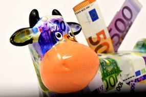 ceramic Bank Money Cow