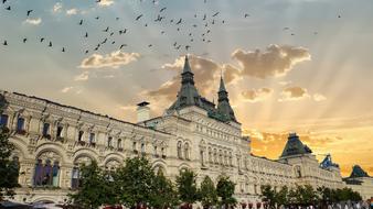 Sunset Building City sky birds