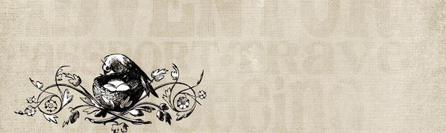vintage bird decorative nest drawing