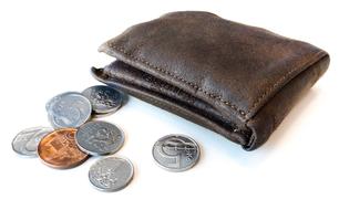 Wallet and Czech Coins