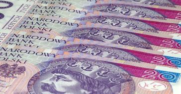 Money Banknotes Polish Zloty