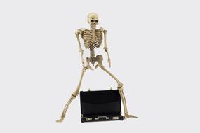 Bone Business case