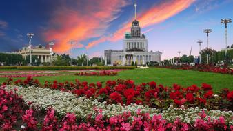 Sunset Russia flowers