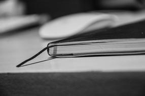 Book Reading Study black and white