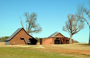 Barn Shed Farm