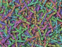 contact us message colors text