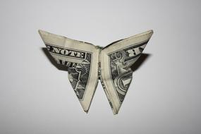 origami from dollar in the form of a butterfly