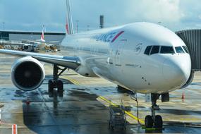 Jet Airliner plane Flight