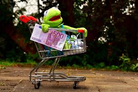 funny frog with money in a shopping basket