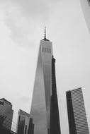 monochrome photo of Architecture Building Business