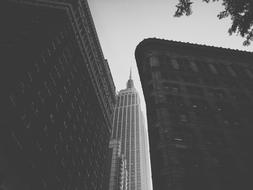 monochrome photo of City Architecture Buildings