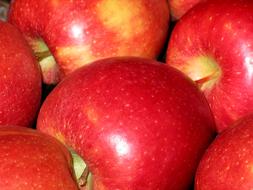 red ripe apples as background