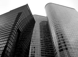 Black and white photo of the shiny skyscrapers, with the window