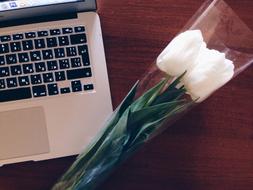 laptop and a bouquet of white tulips on the table