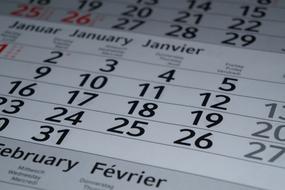 Paper Document Company calendar