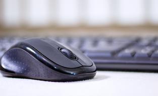 computer Keyboard Mouse