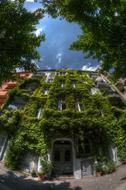 Berlin House at Summer