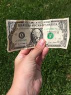 dollar bill in a man's hand on a background of green grass