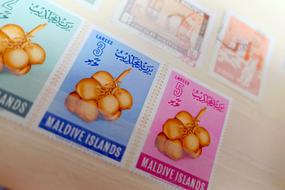 colored stamps for letters