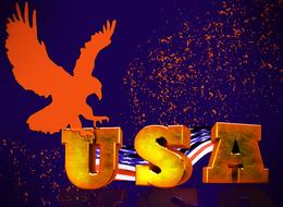 usa flag and eagle