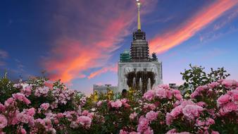 pink flowers, fountain and Tower at colorful Sunset Sky