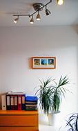 Office interior with the colorful decorations, plants and lights