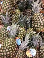 ripe pineapples on the market