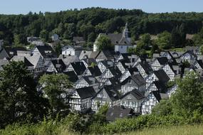Beautiful landscape with the houses of the city, among the green plants in Germany
