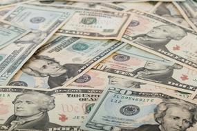 dollars as wealth