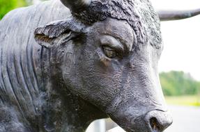 bull statue close up on blurred background