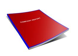 company report as an illustration