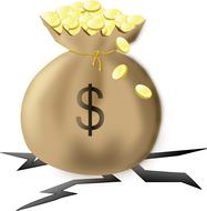 gold currency money bag