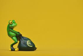 money bag for the frog as a funny figurine