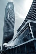 Black and white cityscape with the glass tower and other building