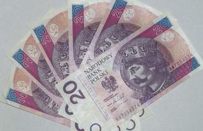 Polish zloty on gray background