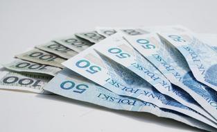 Money Euro as a fan