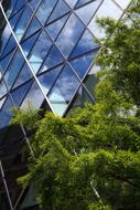 Beautiful green trees, near the glass building, with reflections of the blue sky and white clouds