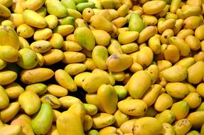 Food Tropical Fruits in market