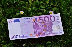 500 euro banknote on a green lawn
